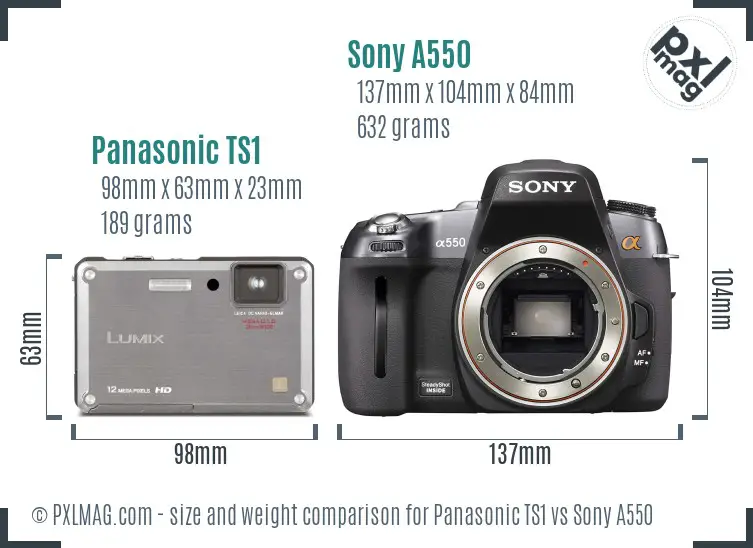Panasonic TS1 vs Sony A550 size comparison