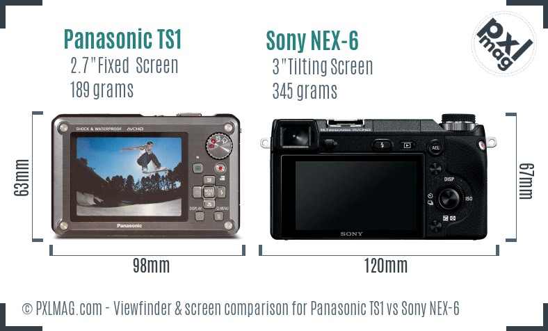 Panasonic TS1 vs Sony NEX-6 Screen and Viewfinder comparison