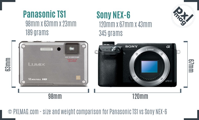 Panasonic TS1 vs Sony NEX-6 size comparison