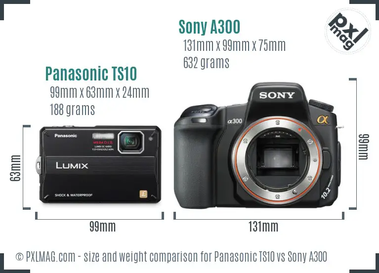 Panasonic TS10 vs Sony A300 size comparison