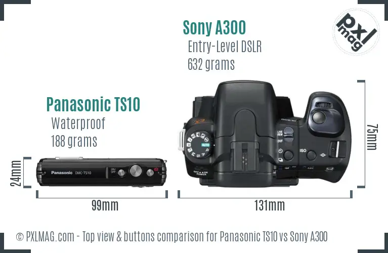 Panasonic TS10 vs Sony A300 top view buttons comparison