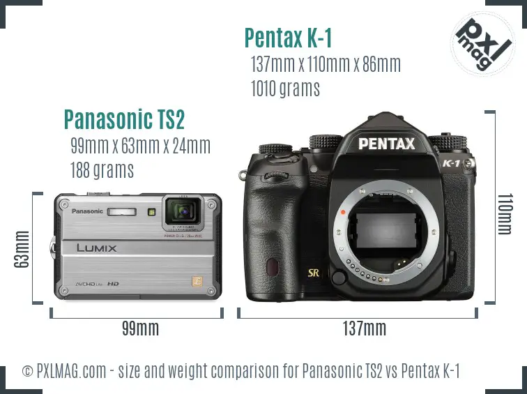 Panasonic TS2 vs Pentax K-1 size comparison