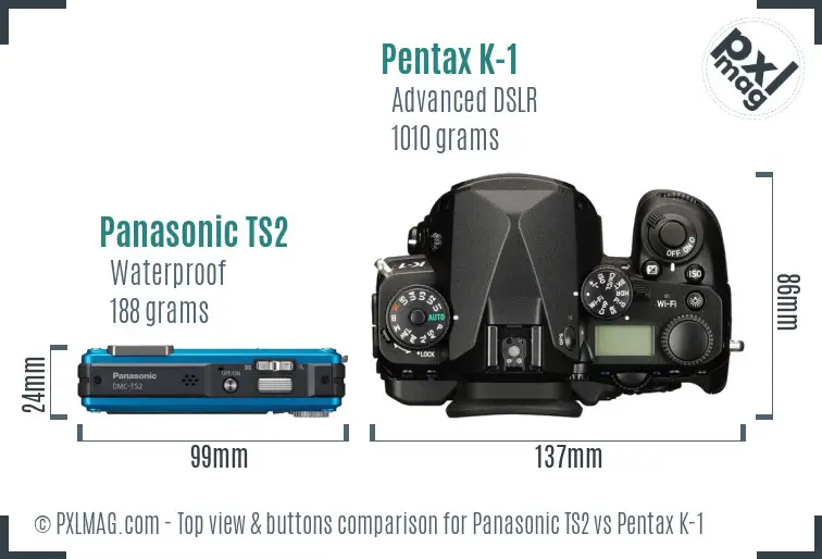 Panasonic TS2 vs Pentax K-1 top view buttons comparison