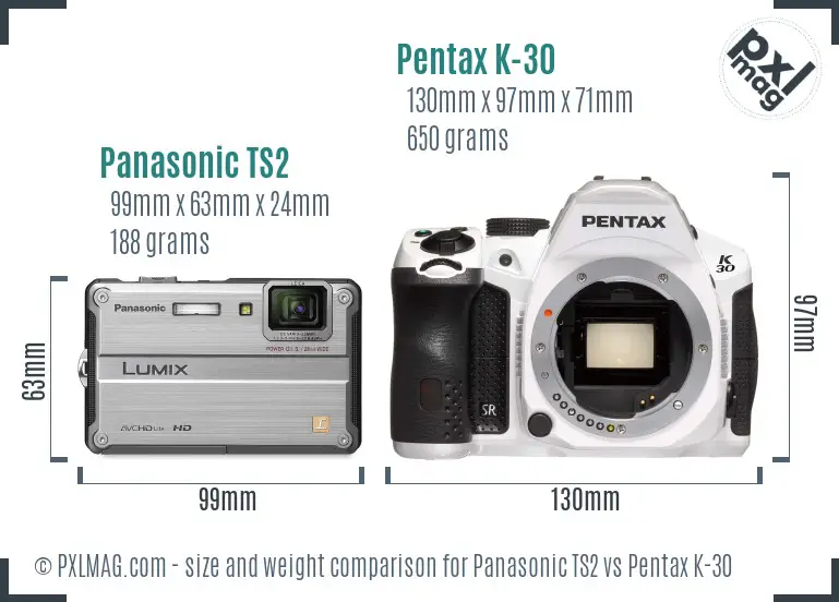 Panasonic TS2 vs Pentax K-30 size comparison
