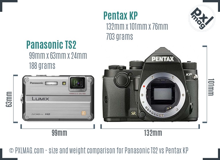 Panasonic TS2 vs Pentax KP size comparison