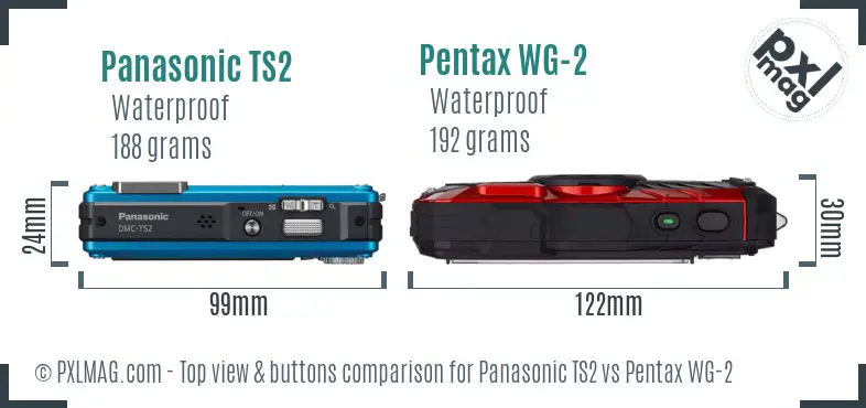 Panasonic TS2 vs Pentax WG-2 top view buttons comparison