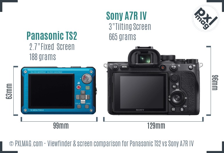 Panasonic TS2 vs Sony A7R IV Screen and Viewfinder comparison