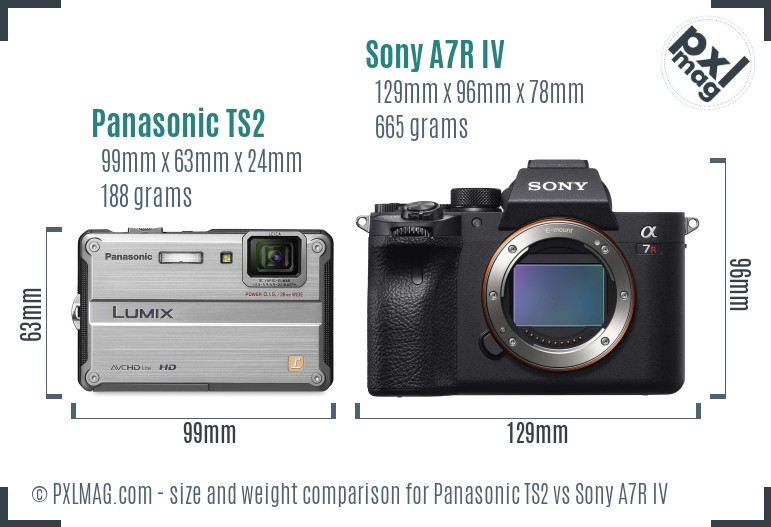 Panasonic TS2 vs Sony A7R IV size comparison Panasonic TS2 vs Sony A7R IV size comparison