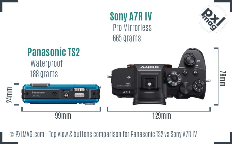 Panasonic TS2 vs Sony A7R IV top view buttons comparison