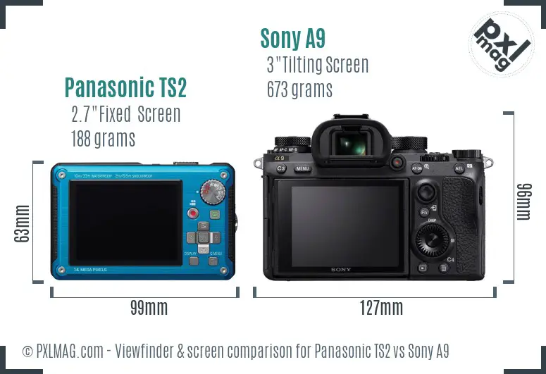 Panasonic TS2 vs Sony A9 Screen and Viewfinder comparison