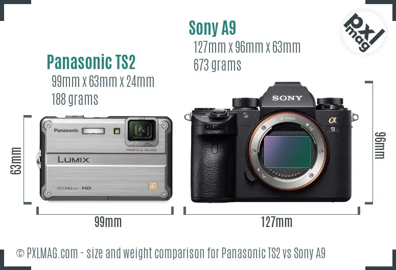 Panasonic TS2 vs Sony A9 size comparison