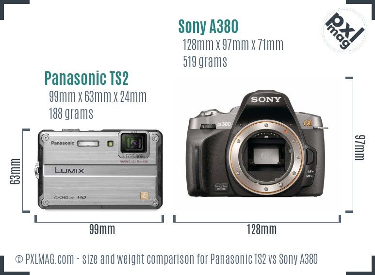 Panasonic TS2 vs Sony A380 size comparison