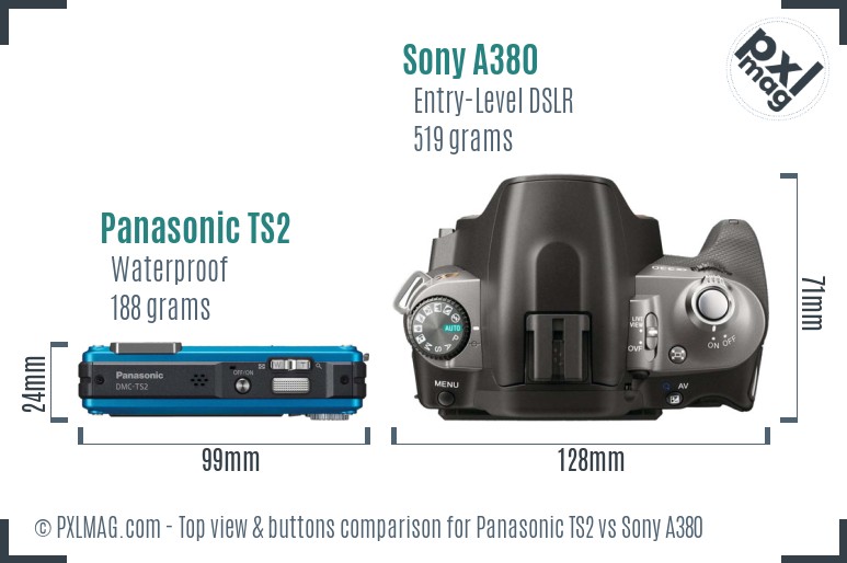 Panasonic TS2 vs Sony A380 top view buttons comparison
