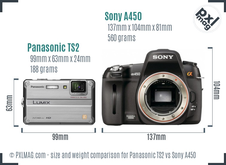 Panasonic TS2 vs Sony A450 size comparison