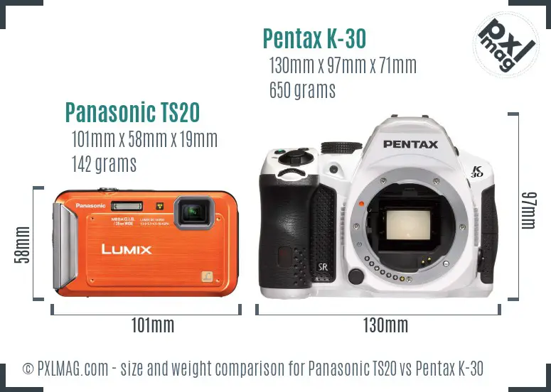 Panasonic TS20 vs Pentax K-30 size comparison
