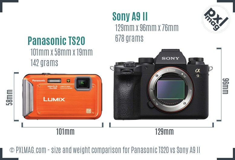 Panasonic TS20 vs Sony A9 II size comparison