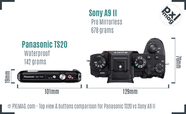 Panasonic TS20 vs Sony A9 II top view buttons comparison