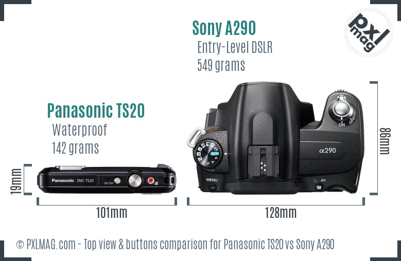 Panasonic TS20 vs Sony A290 top view buttons comparison