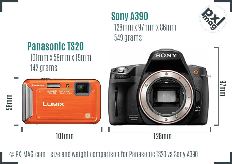 Panasonic TS20 vs Sony A390 size comparison
