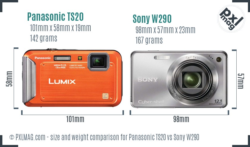 Panasonic TS20 vs Sony W290 size comparison