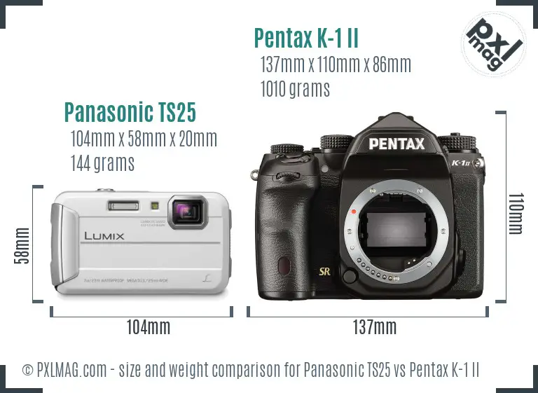 Panasonic TS25 vs Pentax K-1 II size comparison