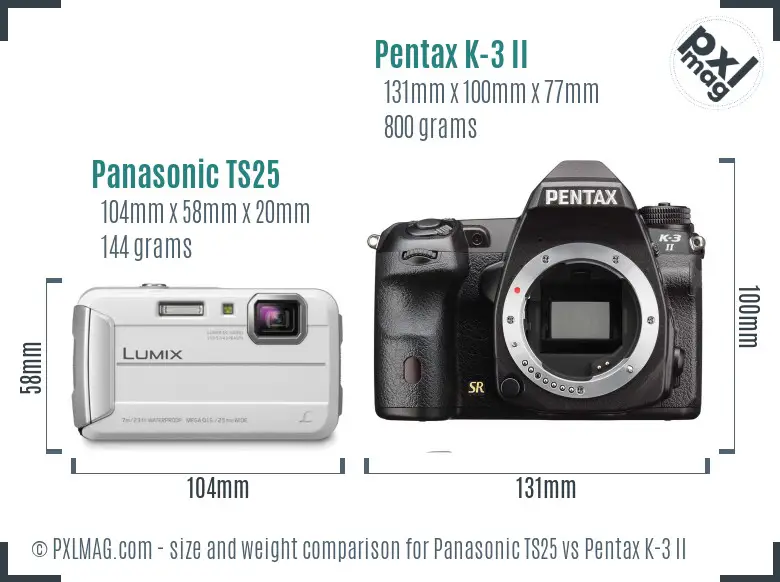 Panasonic TS25 vs Pentax K-3 II size comparison