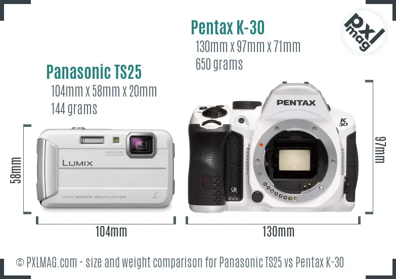 Panasonic TS25 vs Pentax K-30 size comparison