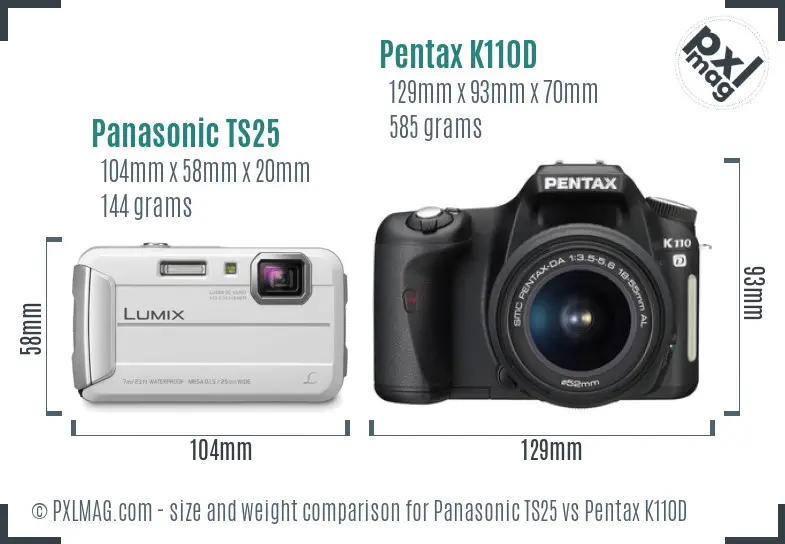 Panasonic TS25 vs Pentax K110D size comparison