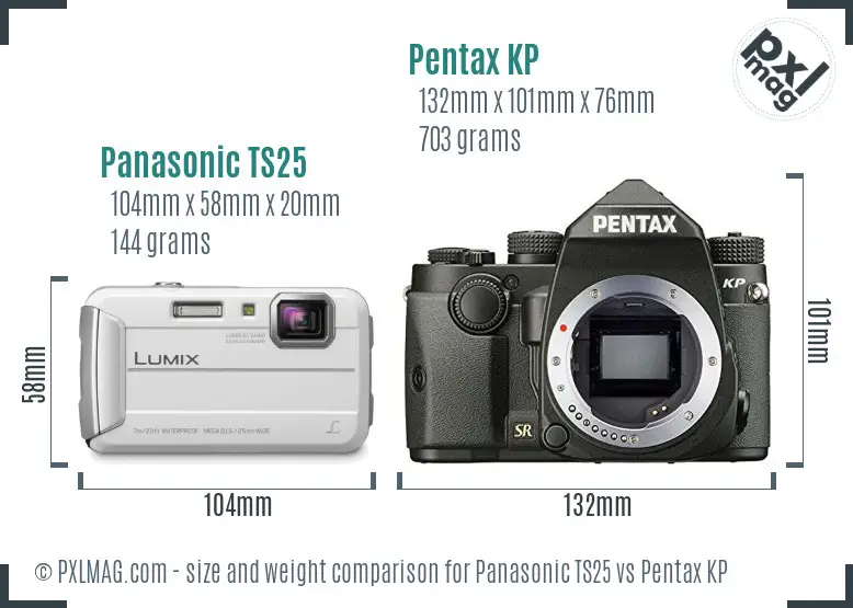 Panasonic TS25 vs Pentax KP size comparison