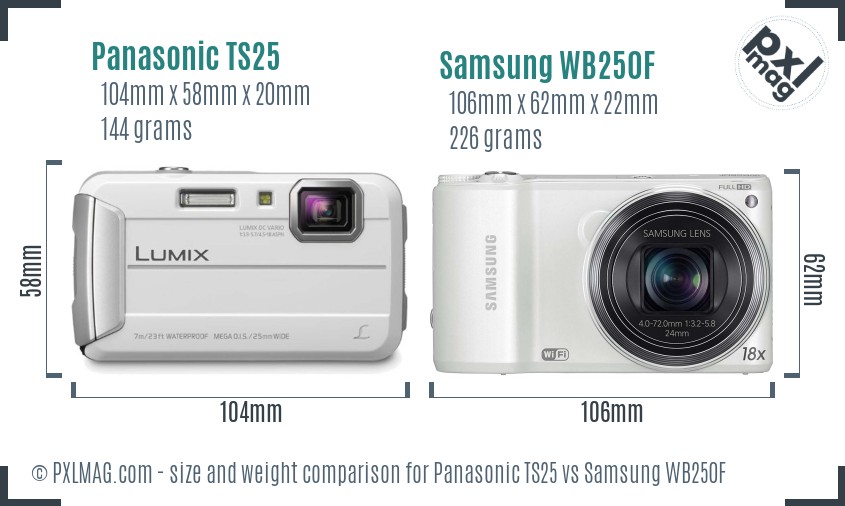 Panasonic TS25 vs Samsung WB250F size comparison