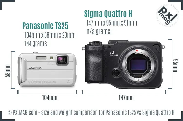 Panasonic TS25 vs Sigma Quattro H size comparison