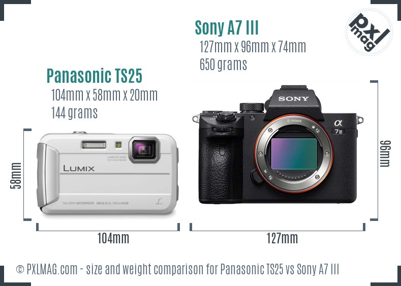 Panasonic TS25 vs Sony A7 III size comparison