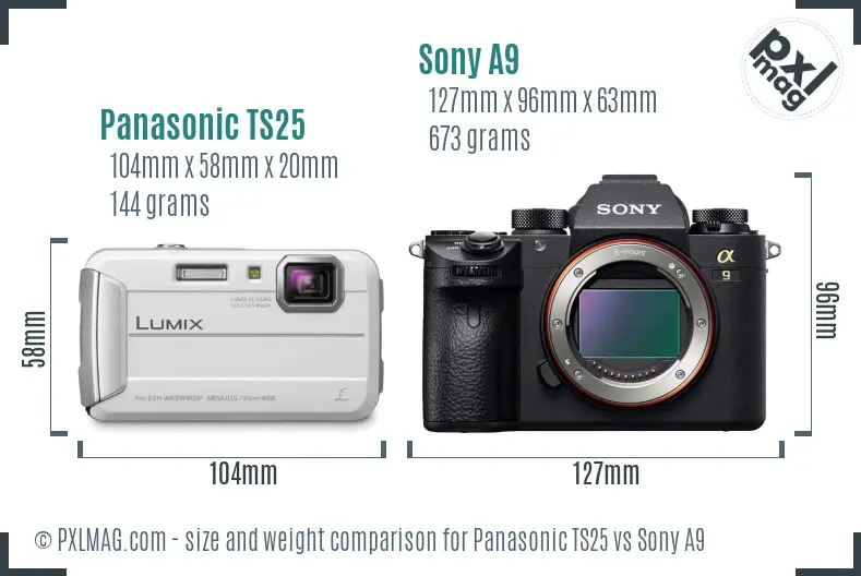 Panasonic TS25 vs Sony A9 size comparison