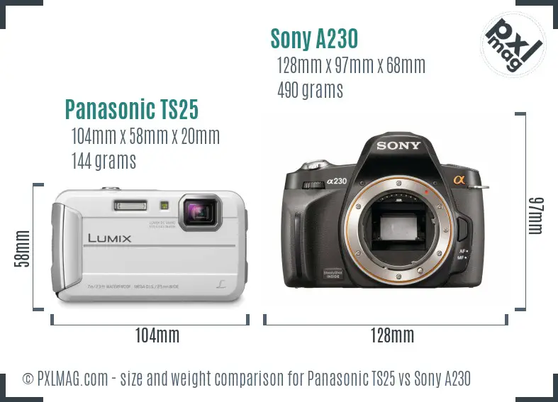 Panasonic TS25 vs Sony A230 size comparison