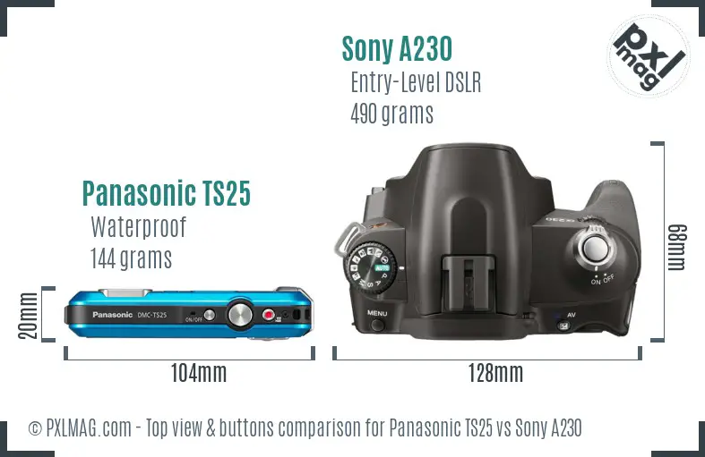 Panasonic TS25 vs Sony A230 top view buttons comparison