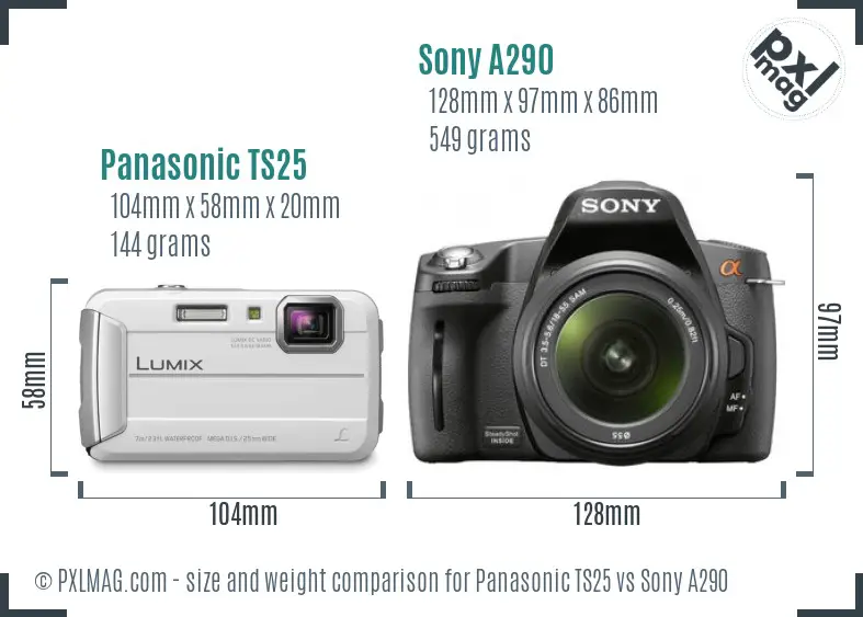 Panasonic TS25 vs Sony A290 size comparison