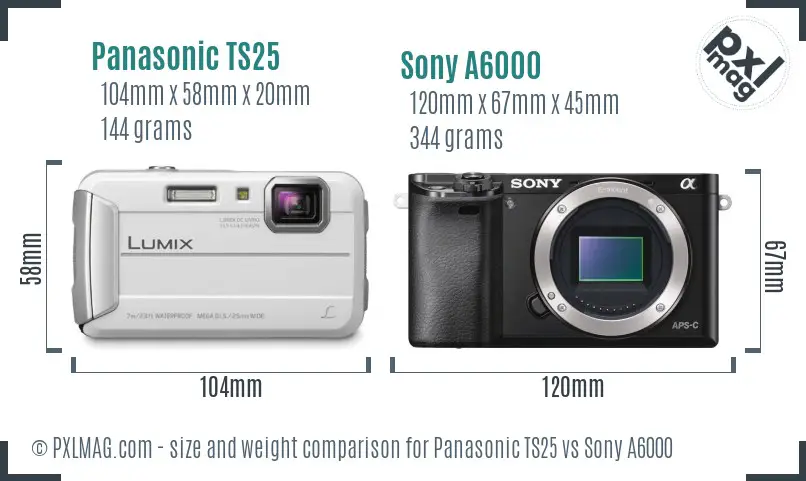 Panasonic TS25 vs Sony A6000 size comparison