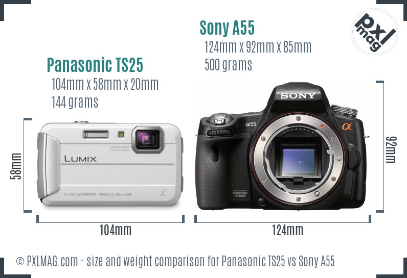 Panasonic TS25 vs Sony A55 size comparison Panasonic TS25 vs Sony A55 size comparison