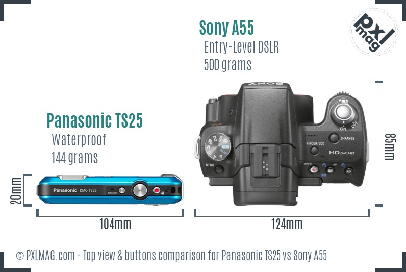 Panasonic TS25 vs Sony A55 top view buttons comparison