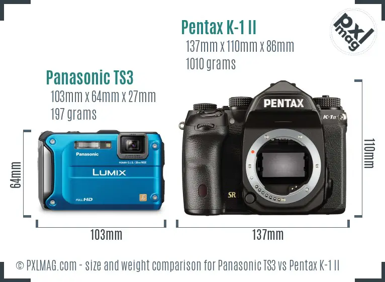Panasonic TS3 vs Pentax K-1 II size comparison