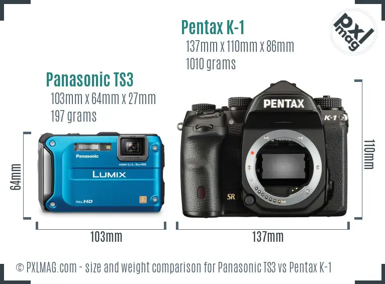 Panasonic TS3 vs Pentax K-1 size comparison