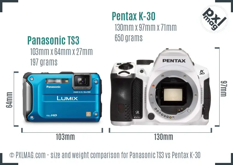 Panasonic TS3 vs Pentax K-30 size comparison