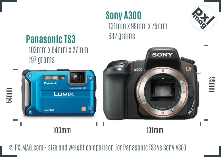 Panasonic TS3 vs Sony A300 size comparison
