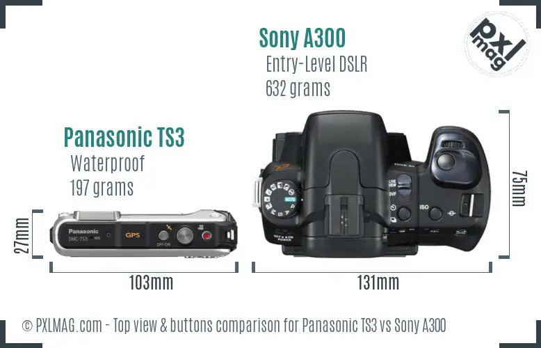 Panasonic TS3 vs Sony A300 top view buttons comparison