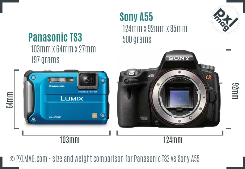 Panasonic TS3 vs Sony A55 size comparison