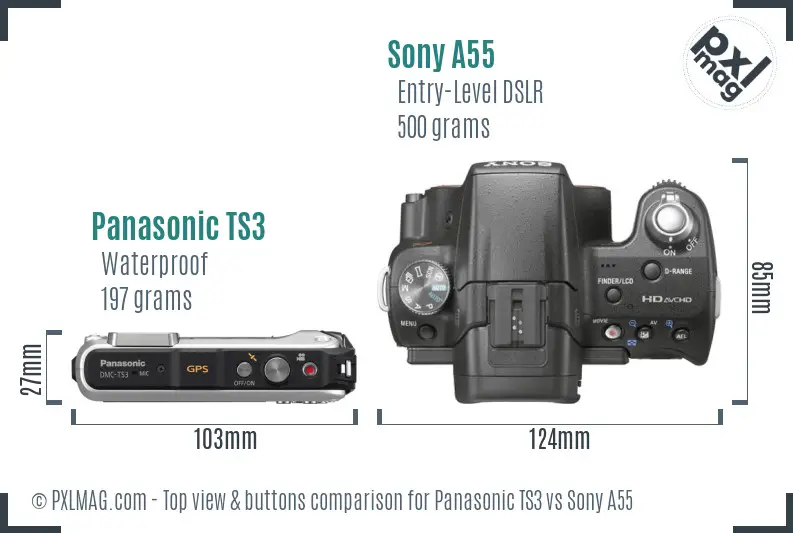 Panasonic TS3 vs Sony A55 top view buttons comparison