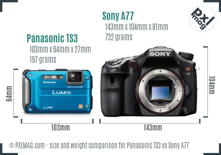 Panasonic TS3 vs Sony A77 size comparison