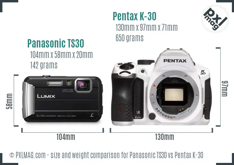 Panasonic TS30 vs Pentax K-30 size comparison