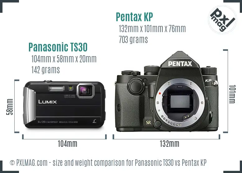 Panasonic TS30 vs Pentax KP size comparison