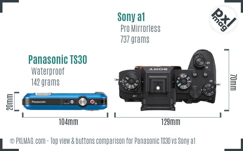 Panasonic TS30 vs Sony a1 top view buttons comparison